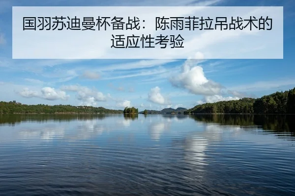 国羽苏迪曼杯备战：陈雨菲拉吊战术的适应性考验