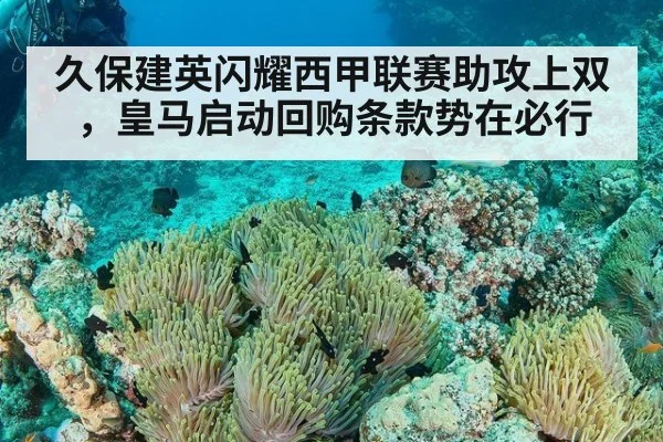 久保建英闪耀西甲联赛助攻上双，皇马启动回购条款势在必行